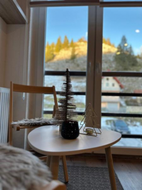 Apartman - Sobe Tiha Luka, Bjelašnica
